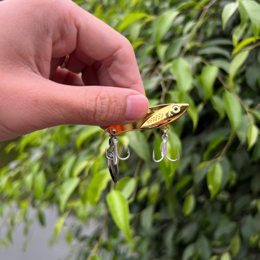 cá sắt có thìa xoay 5 màu