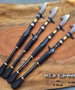 Cần câu lure rút Koi carp