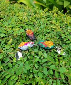 Nhái hơi Godzilla Thái Lan