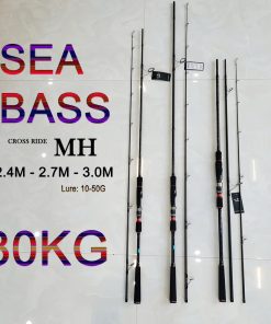 Cần câu lure đứng sea bass siêu trâu bò