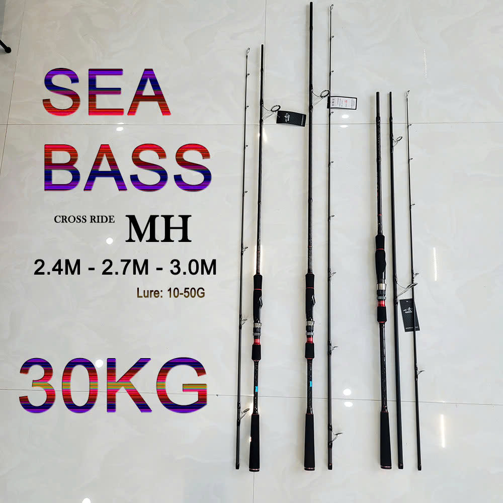 Cần câu lure đứng sea bass siêu trâu bò
