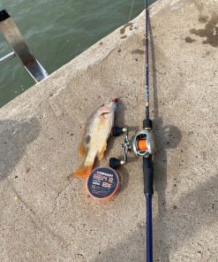 Dù câu Toman Gen 2